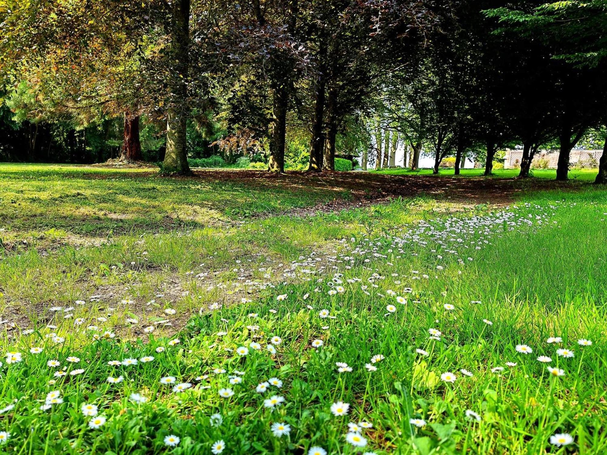 Domaine De L'Isle Maniere Lägenhet Saint-Quentin-sur-le-Homme Exteriör bild